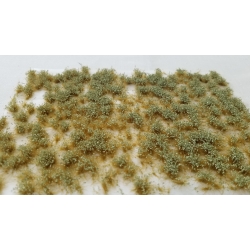 Ciuffi autunnali altezza 5 mm e foglie